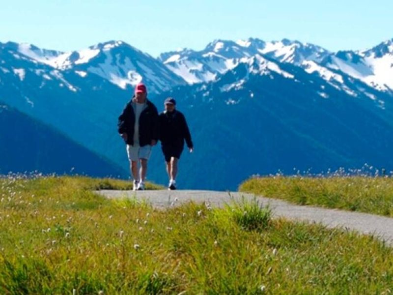 Explore Olympic National Park from Seattle through Van /Ferry