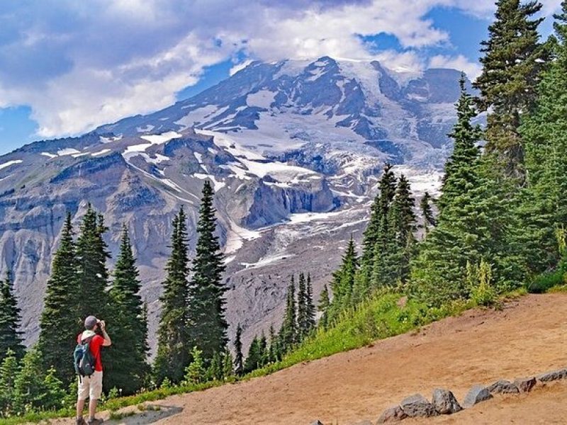 Full-Day Mt Rainier National Park Private Tour in SUV