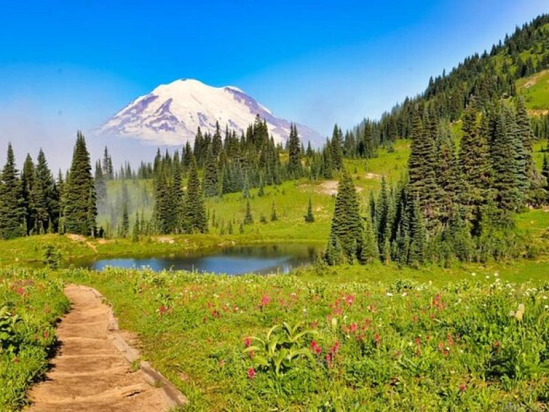 Private Mt Rainier National Park Tour in SUV