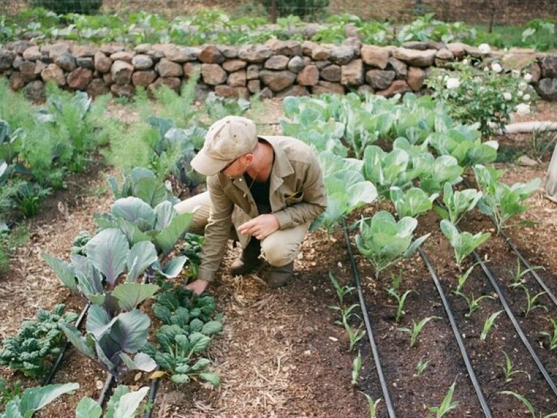 Private Farm Workshop in Napa Valley