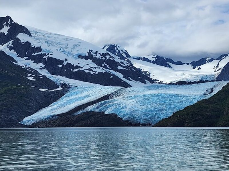 Valley of Glaciers Experience with Portage Glacier Cruise and Wildlife Tour