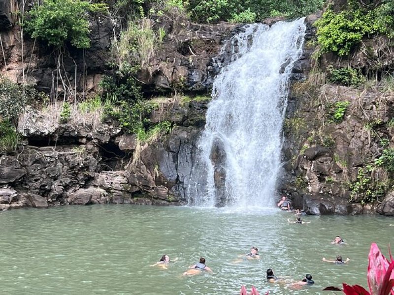 Best of Oahu's North Shore in small group (Se Habla Espanol)