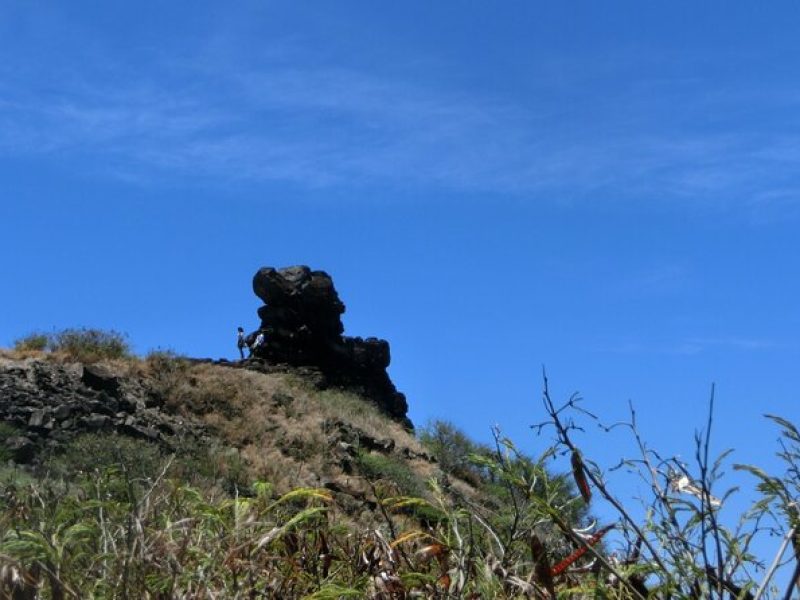 Makapu'u Lighthouse Hiking Shuttle