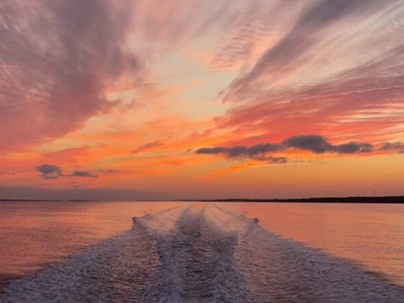 Coastal Excursion/Sunset Cruise/Sand Dollars/Sea Shells/Horses