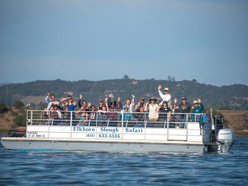 Wildlife Safari Boat Tour in Scenic Monterey Bay Wetland