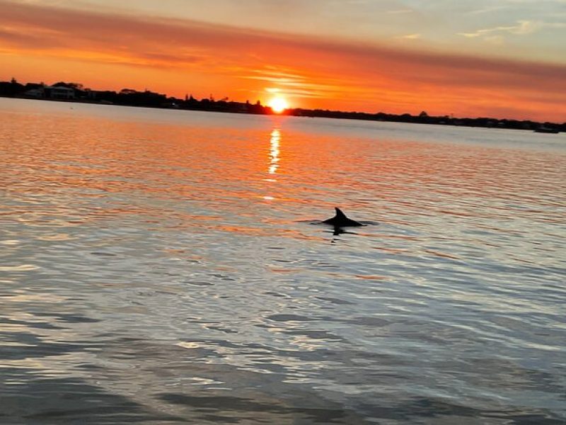 Adventure Boat Tours – Sunset Water Tour in St. Augustine