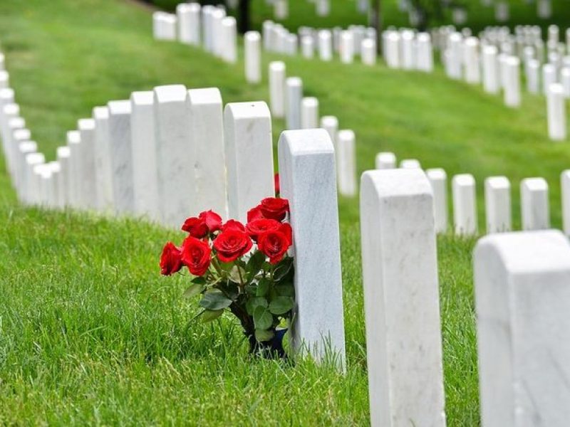 Private Tour of Washington, DC by Van to Honor Our Heroes