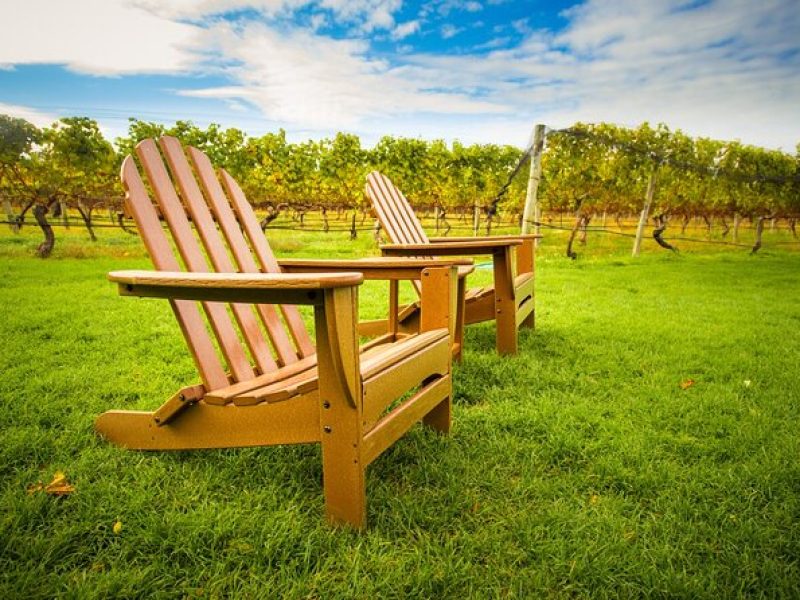 Half Day Private Long Island Wine Tour Experience