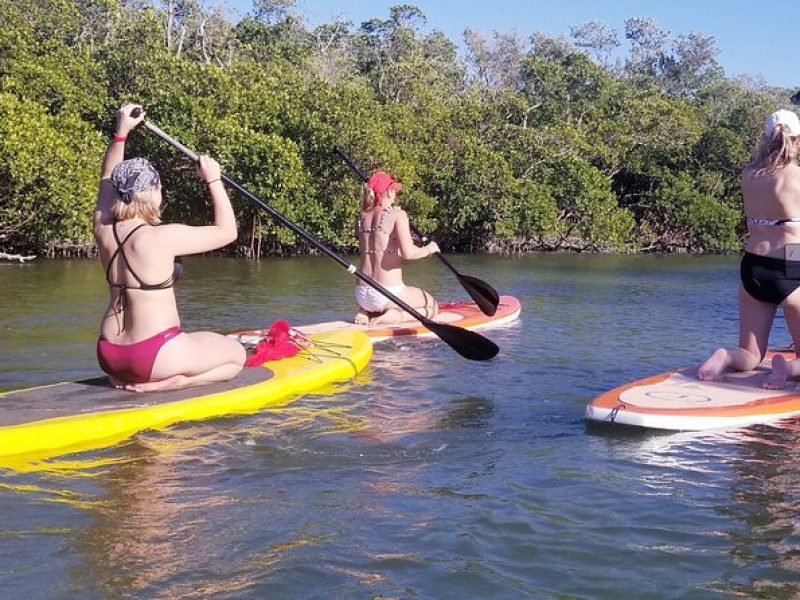 Stand Up Paddleboard Rental on Big Hickory Pass