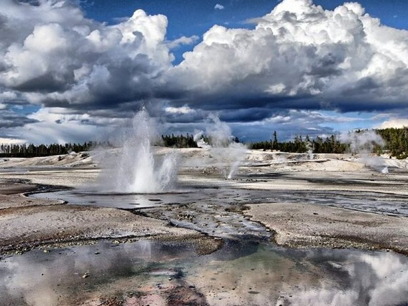 Yellowstone Lower Loop VIP Full-Day Private Tour with Lunch