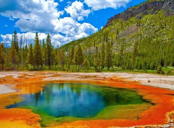 2-Day Private Tour in Yellowstone(Lower and Upper Loops w Iconic Sites) w Lunch