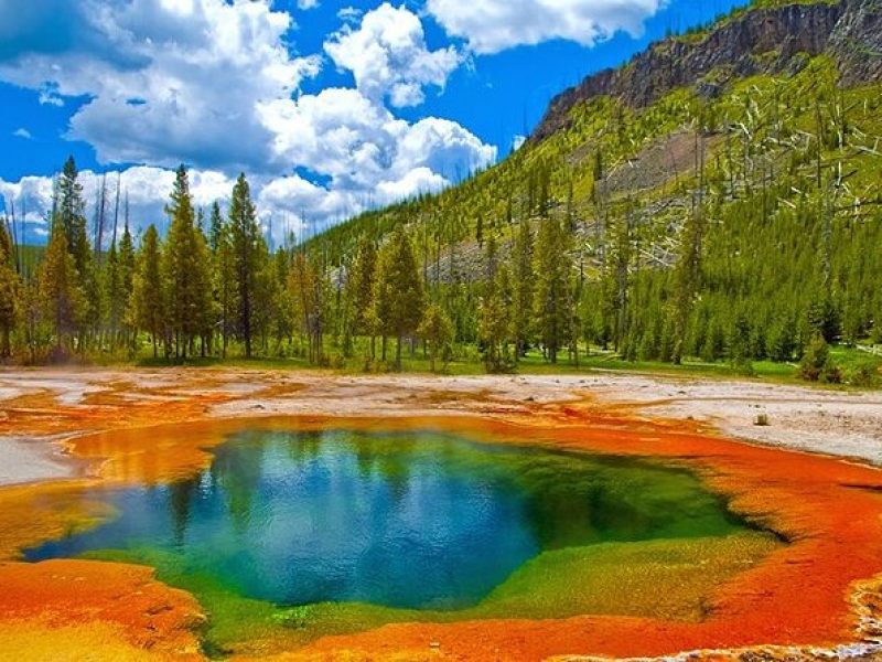 2-Day Private Tour in Yellowstone(Lower and Upper Loops w Iconic Sites) w Lunch