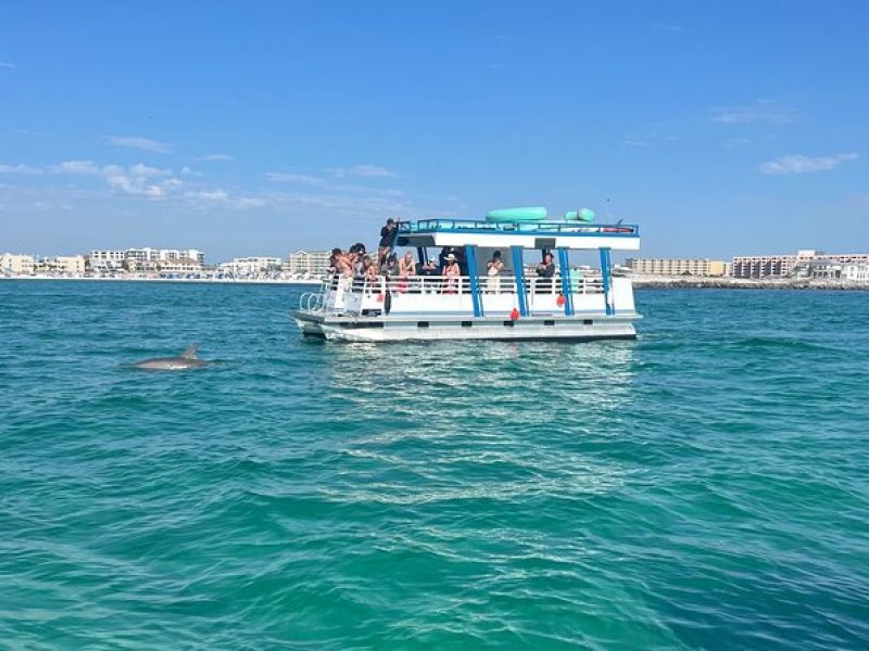 One Hour Harbor Shared Tour with Dolphin Watching