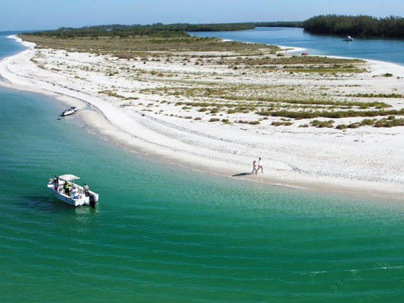 Eco Shelling Cruise to Keewaydin Island