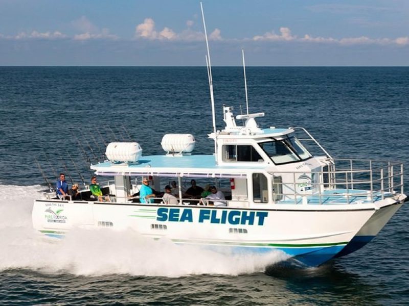 Deep Sea Fishing Four Hour Experience with Experienced Captain