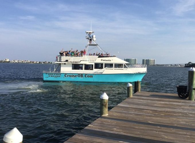 Alabama Gulf Coast Dolphin Cruise