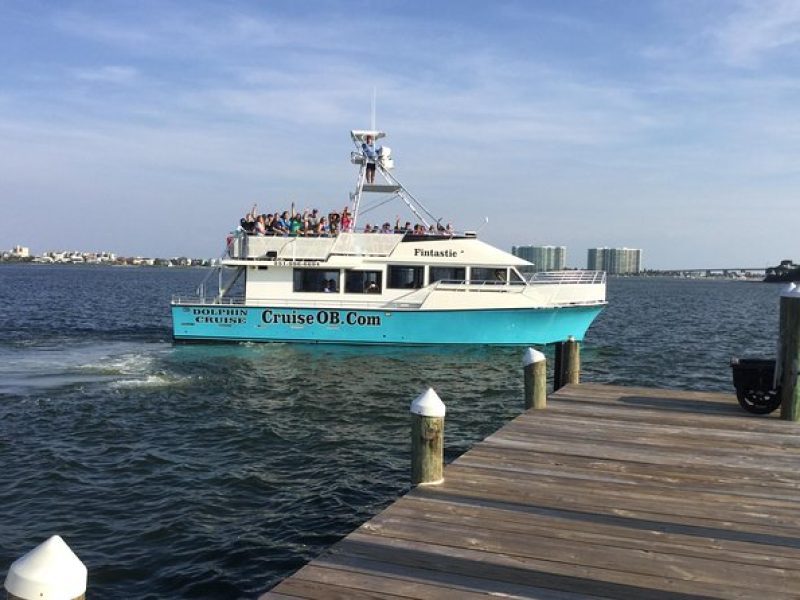 Alabama Gulf Coast Dolphin Cruise