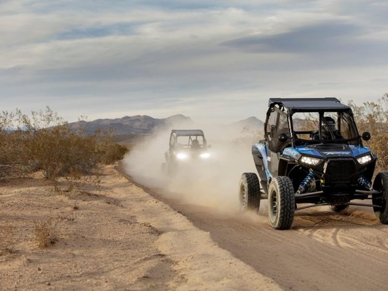 Mojave Desert Off Road RZR Tour in Las Vegas