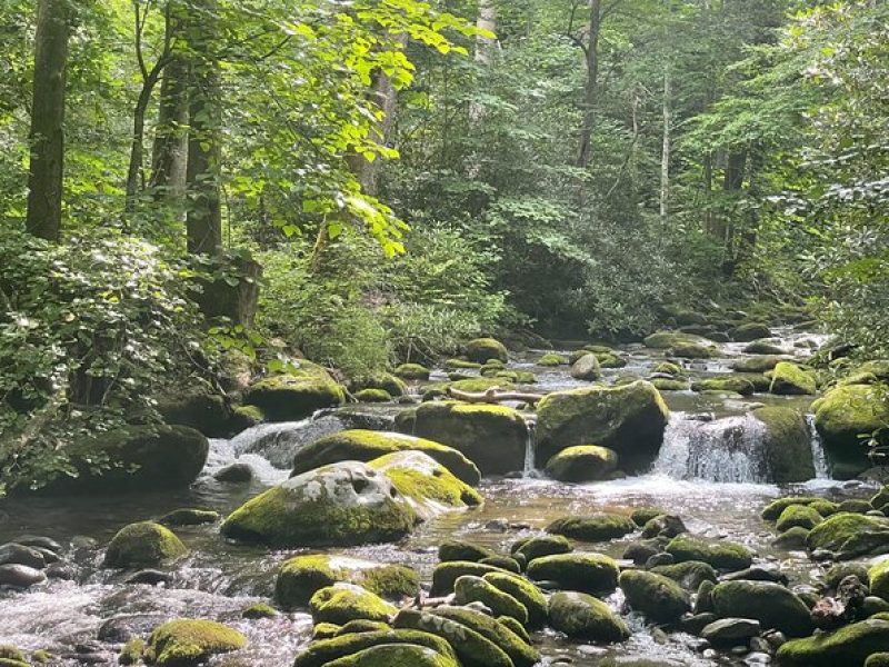 Smoky Mountains Roaring Fork Guided Sightseeing Tour by Jeep