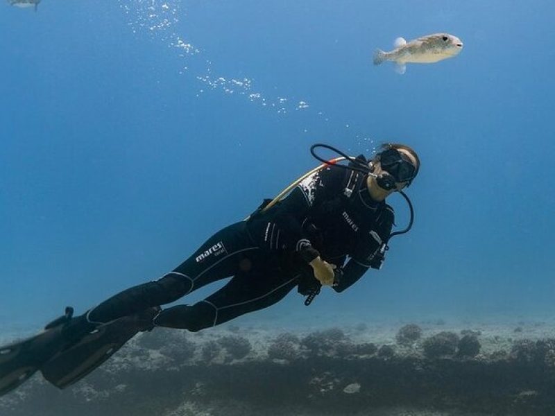 Incredibly Fun 2-Tank Boat Dive from Waikiki -Beginners Welcome