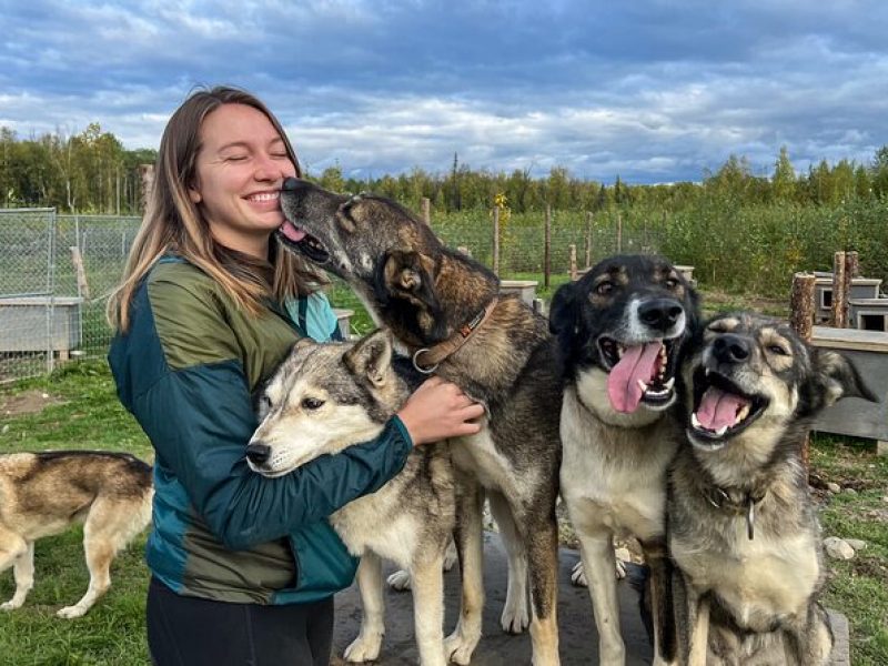 Sled Dog Kennel Tour