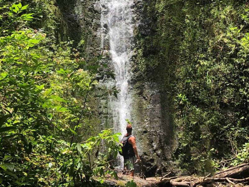 Private Guided Adventure with Jungle Waterfalls