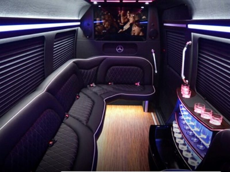 14 Passenger Luxury Sprinter Party Bus Ft Lauderdale 3 hour