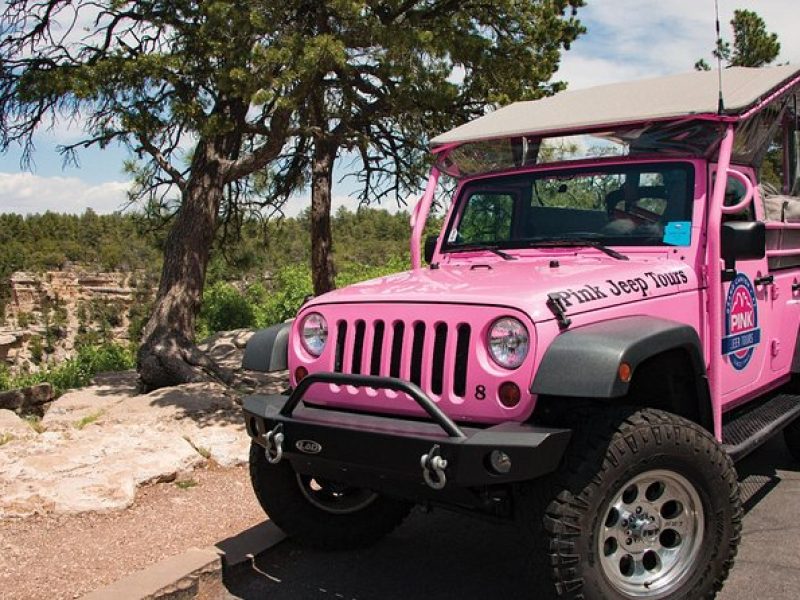 Desert View Grand Canyon Tour – Pink Jeep