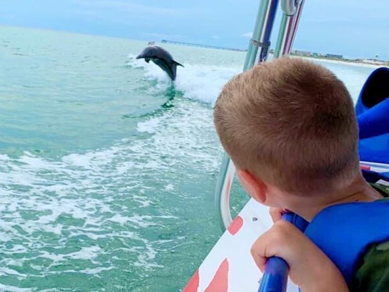 Dolphin-Watching Speedboat Cruise in Destin Harbor