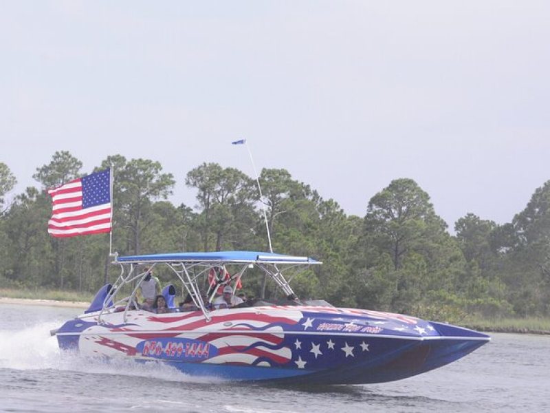 Private Dolphin Spotting Thrill Ride in Destin