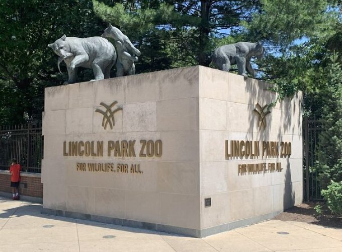 Lincoln Park Zoo Scavenger Hunt