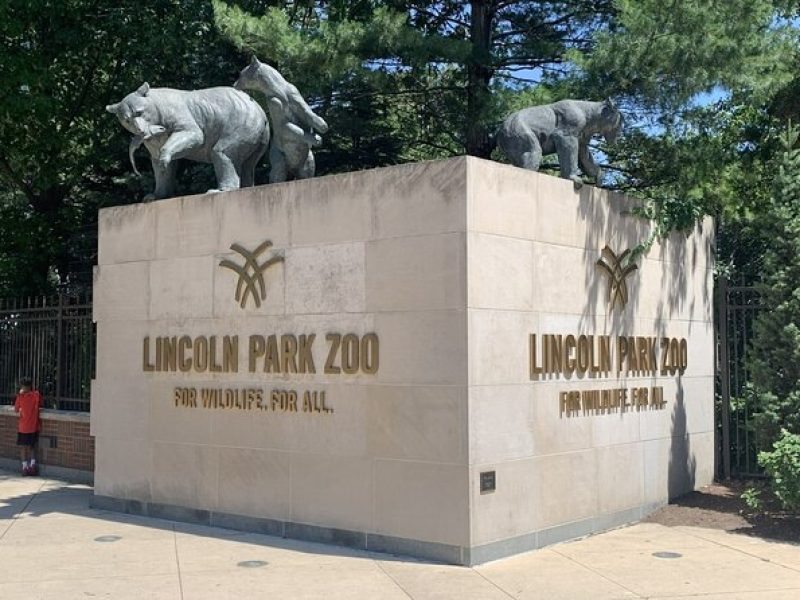 Lincoln Park Zoo Scavenger Hunt