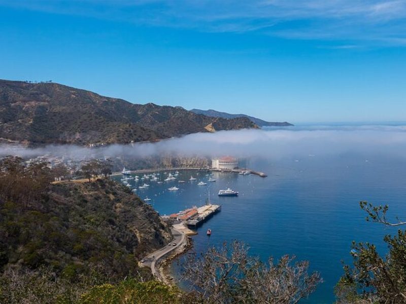 2 hour Inside Adventure Tour on Catalina Island