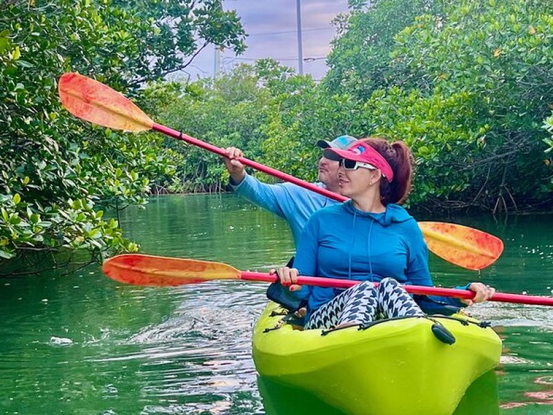 Key West Kayak Eco Tour | An Eco-Friendly Adventure Awaits!