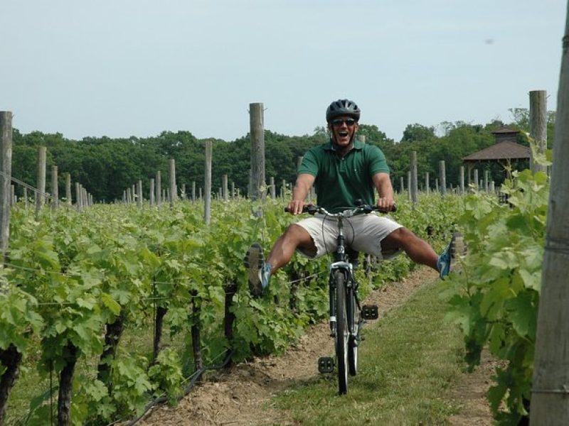 Mattituck Bike Wine Country and Fruit Orchard Tour