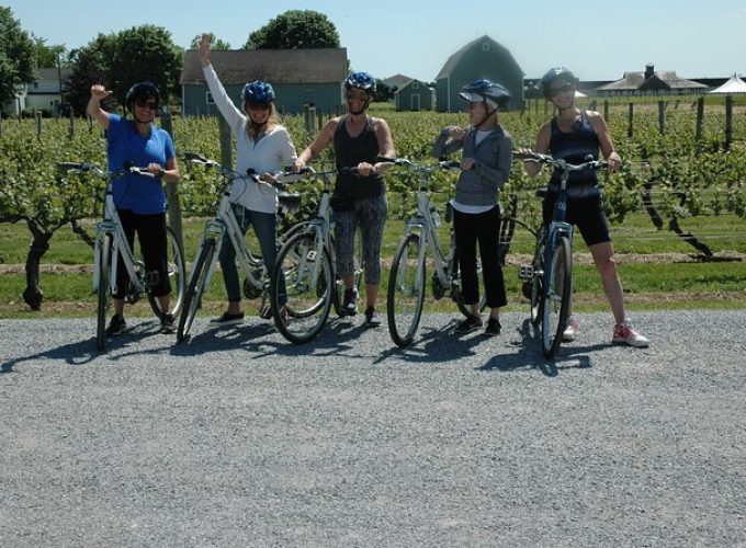 Half Day Private North Fork Bike Tour Thru Wine Cntry in Matituck