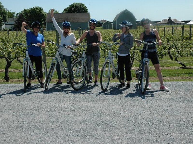 Half Day Private North Fork Bike Tour Thru Wine Cntry in Matituck