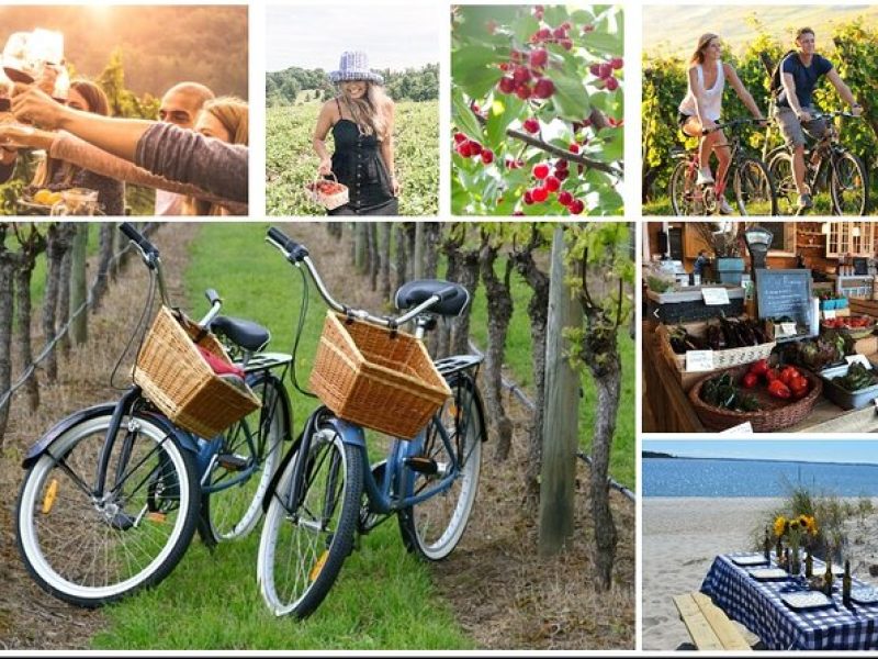 Guided Farm and Wine Country Bike Tour in Mattituck NY