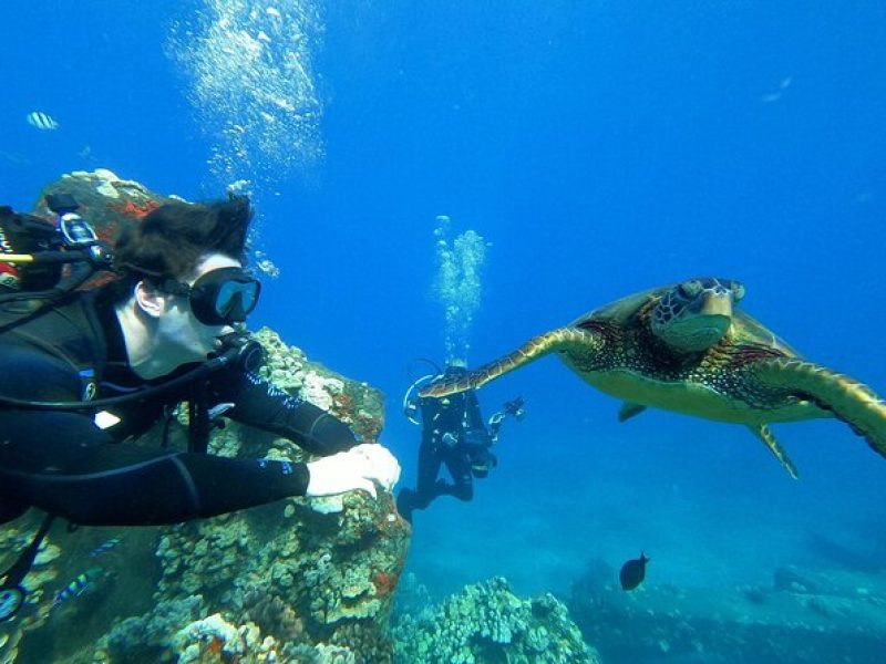 Private Intro SCUBA Adventure