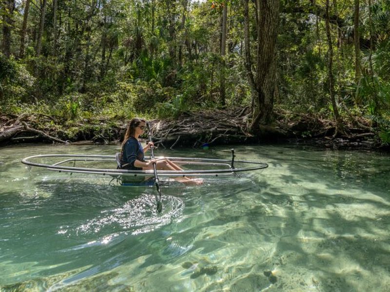 Explore The Chaz: Exclusive Clear Kayak Tours Near Crystal River