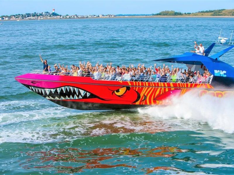 Boston Codzilla High-Speed Thrill Boat Ride