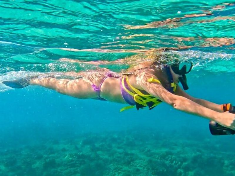 Jet Snorkeling in Turtle, Dolphin and Monk Seal Bay