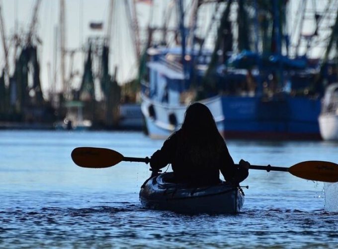 2 Hours Shem Creek Safari Kayak Tour