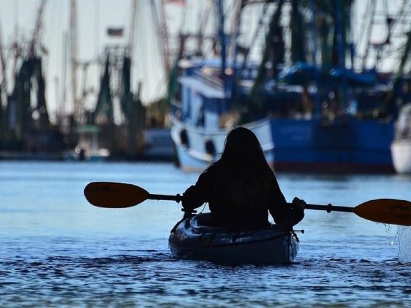 2 Hours Shem Creek Safari Kayak Tour