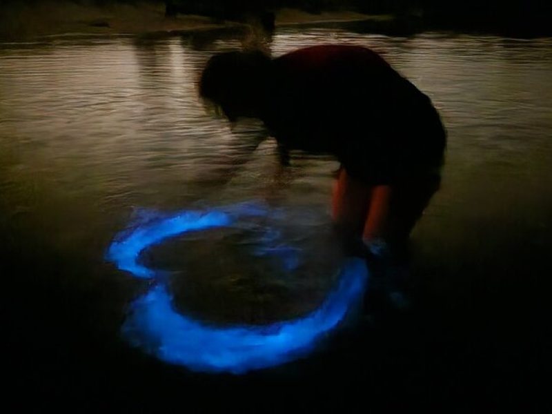 Orlando Bioluminescence Kayak and Swim Adventure