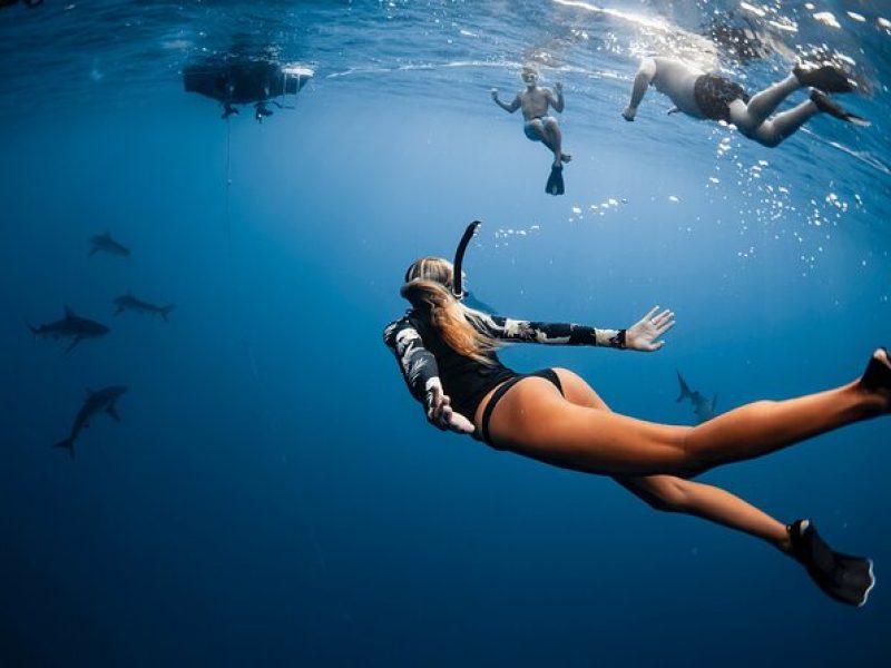 Shark Diving (no cage) with Deep Blue Eco Tours, Oahu, HI