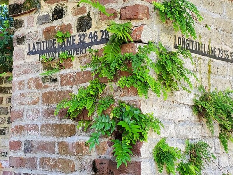 Private Walking Tour of Historic Charleston