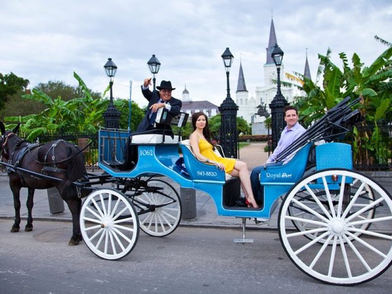 New Orleans Private Carriage Tour of the French Quarter