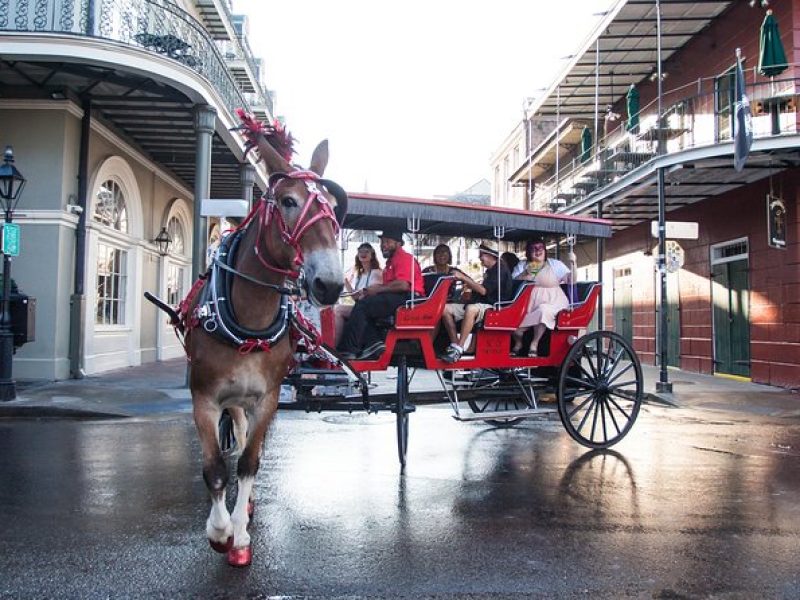 New Orleans French Quarter & More Carriage Ride