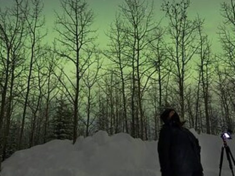 Small Group Northern Lights Lodge Tours From Fairbanks Solo Traveler